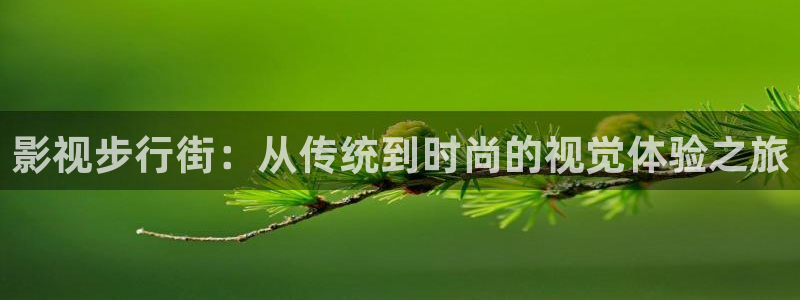 天龙影院高清：影视步行街：从传统到时尚的视觉体验之旅