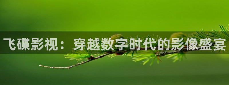 天龙高清远古电影院：飞碟影视：穿越数字时代的影像盛宴