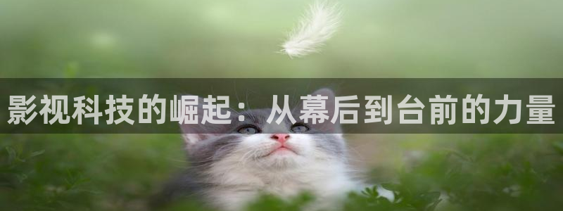 天龙影院手机版在线观看：影视科技的崛起：从幕后到台前的力量