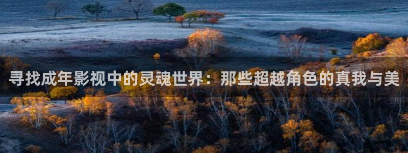 denon 天龙家庭影院：寻找成年影视中的灵魂世界：那些超越角色的真我与美
