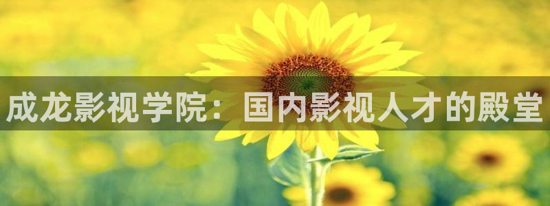 天龙高影院：成龙影视学院：国内影视人才的殿堂
