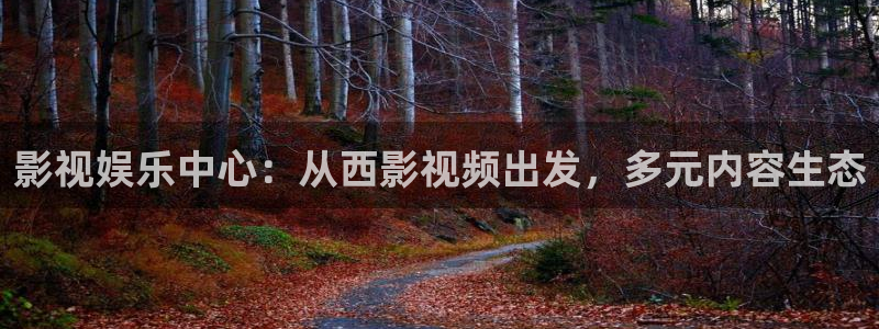 免费天龙影院：影视娱乐中心：从西影视频出发，多元内容生态
