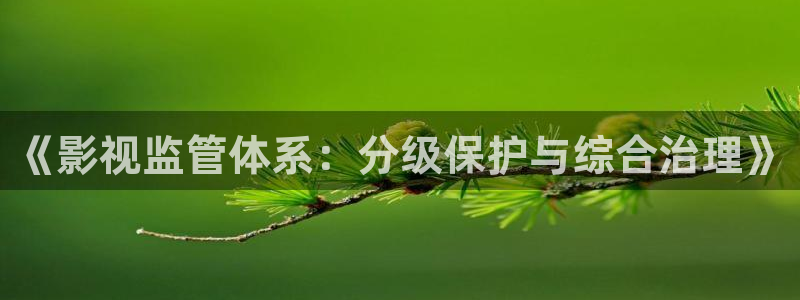 手机远古天龙影院：《影视监管体系：分级保护与综合治理》